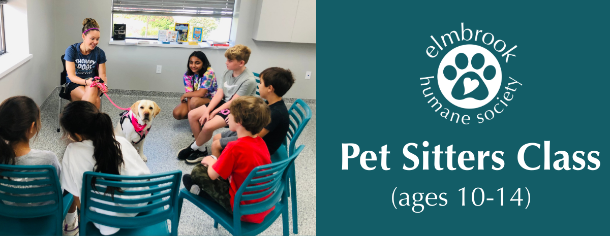 Pet Sitters Class (ages 10-14)